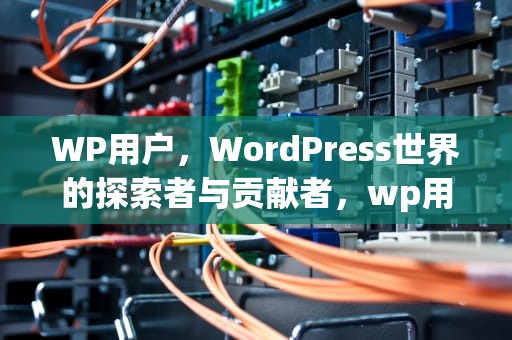 WP用户，WordPress世界的探索者与贡献者，wp用户中心插件