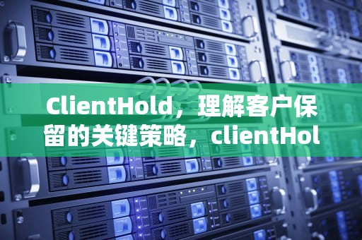 ClientHold，理解客户保留的关键策略，clientHold域名废了