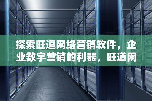 探索旺道网络营销软件，企业数字营销的利器，旺道网络营销软件有哪些