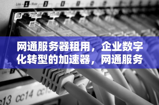 网通服务器租用，企业数字化转型的加速器，网通服务器租用多少钱