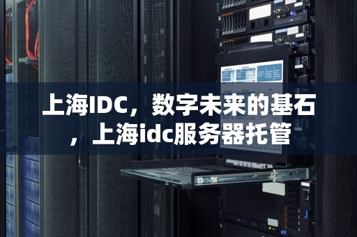 上海IDC，数字未来的基石，上海idc服务器托管