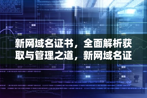 新网域名证书，全面解析获取与管理之道，新网域名证书查询