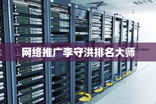 网络推广李守洪排名大师