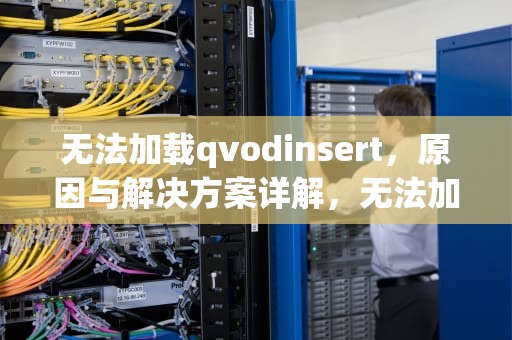 无法加载qvodinsert，原因与解决方案详解，无法加载用户配置文件进不去桌面