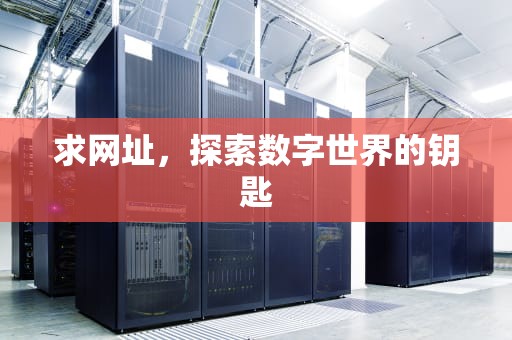 求网址，探索数字世界的钥匙