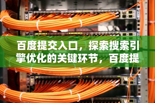 百度提交入口，探索搜索引擎优化的关键环节，百度提交入口网站