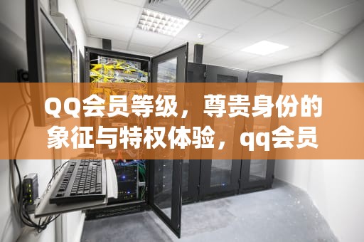 QQ会员等级，尊贵身份的象征与特权体验，qq会员等级对照表