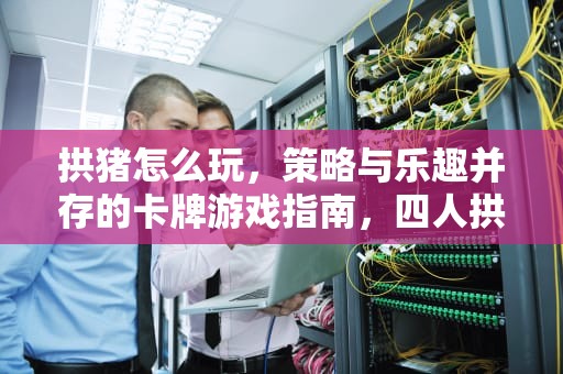 拱猪怎么玩，策略与乐趣并存的卡牌游戏指南，四人拱猪怎么玩