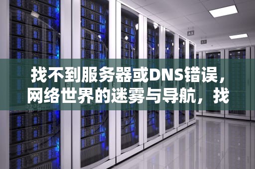 找不到服务器或DNS错误，网络世界的迷雾与导航，找不到服务器或DNS错误是什么意思