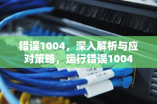 错误1004，深入解析与应对策略，运行错误1004