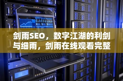 剑雨SEO，数字江湖的利剑与细雨，剑雨在线观看完整免费版