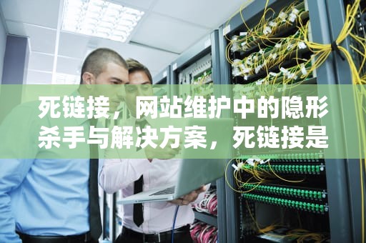 死链接，网站维护中的隐形杀手与解决方案，死链接是什么