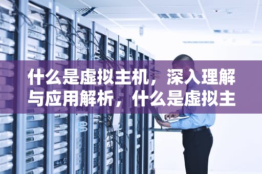 什么是虚拟主机，深入理解与应用解析，什么是虚拟主机?