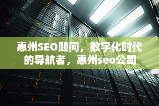 惠州SEO顾问，数字化时代的导航者，惠州seo公司