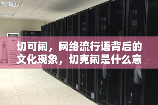 切可闹，网络流行语背后的文化现象，切克闹是什么意思
