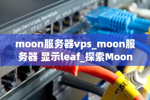 moon服务器vps_moon服务器 显示leaf_探索Moon服务器VPS的无限可能