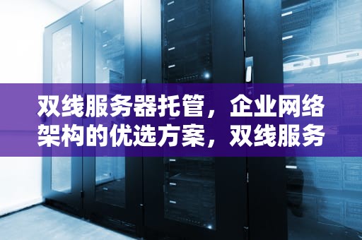 双线服务器托管，企业网络架构的优选方案，双线服务器租用托管