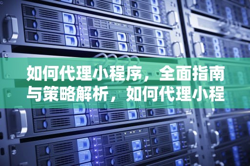 如何代理小程序，全面指南与策略解析，如何代理小程序游戏