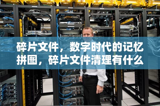 碎片文件，数字时代的记忆拼图，碎片文件清理有什么影响