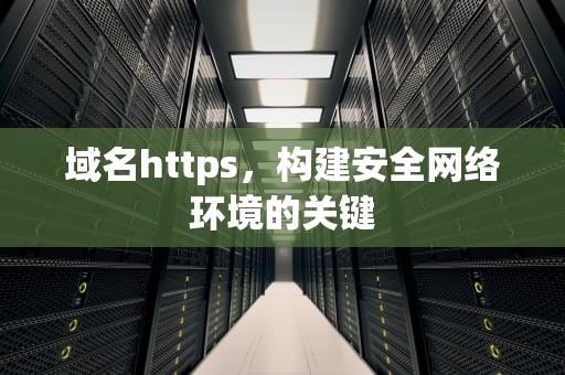域名https，构建安全网络环境的关键