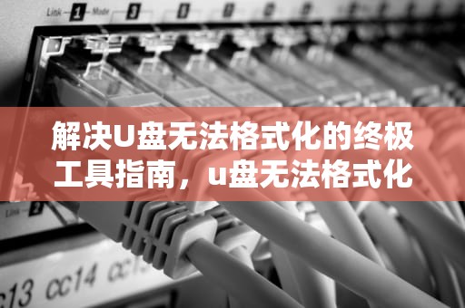 解决U盘无法格式化的终极工具指南，u盘无法格式化工具怎么办