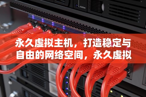 永久虚拟主机，打造稳定与自由的网络空间，永久虚拟主机购买