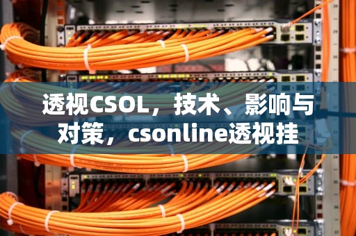 透视CSOL，技术、影响与对策，csonline透视挂