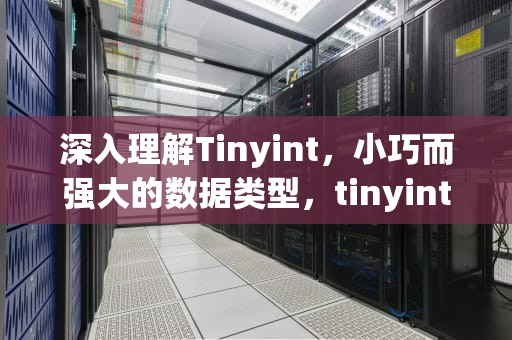 深入理解Tinyint，小巧而强大的数据类型，tinyint什么类型
