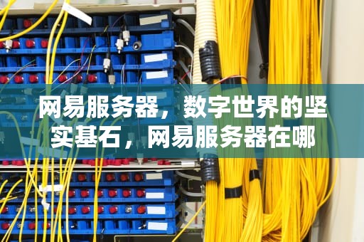 网易服务器，数字世界的坚实基石，网易服务器在哪