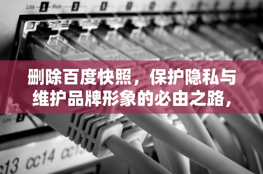 删除百度快照，保护隐私与维护品牌形象的必由之路，删除百度快照怎么删除