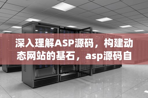 深入理解ASP源码，构建动态网站的基石，asp源码自助建站