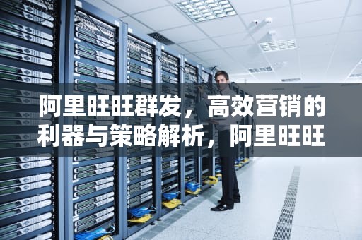 阿里旺旺群发，高效营销的利器与策略解析，阿里旺旺群发软件