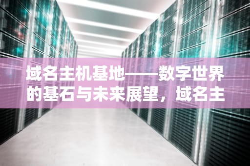 域名主机基地——数字世界的基石与未来展望，域名主机基地是什么