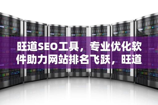 旺道SEO工具，专业优化软件助力网站排名飞跃，旺道网站优化