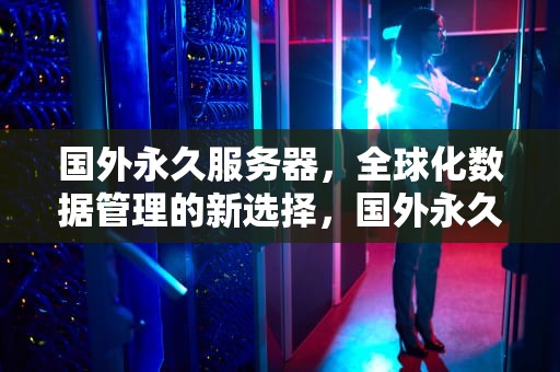 国外永久服务器，全球化数据管理的新选择，国外永久服务器小说