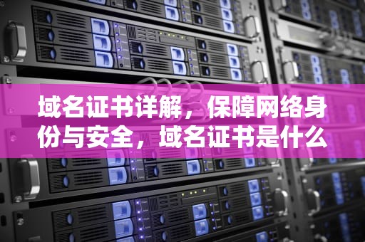 域名证书详解，保障网络身份与安全，域名证书是什么东西