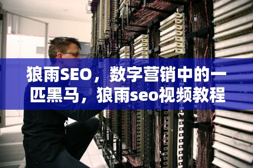 狼雨SEO，数字营销中的一匹黑马，狼雨seo视频教程全集