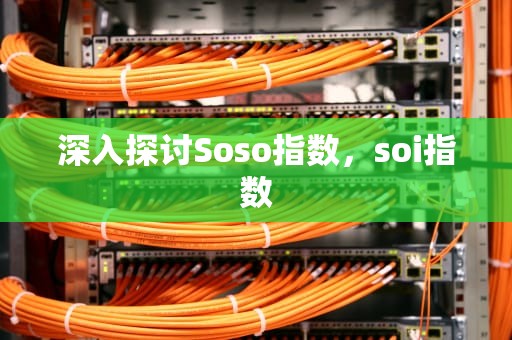 深入探讨Soso指数，soi指数