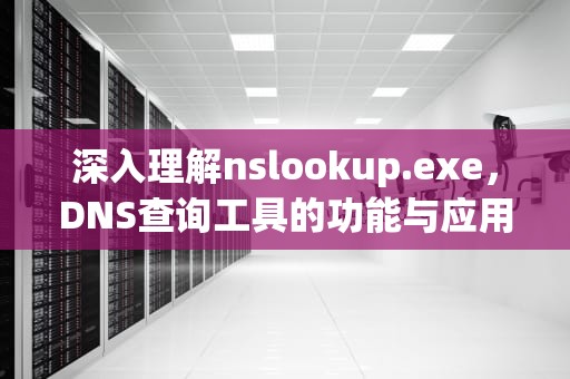 深入理解nslookup.exe，DNS查询工具的功能与应用，nslookup.exe自动运行