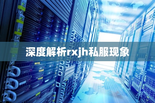 深度解析rxjh私服现象