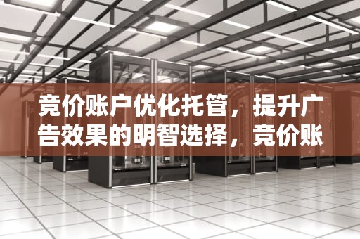 竞价账户优化托管，提升广告效果的明智选择，竞价账户优化托管方案