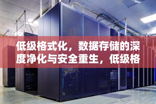 低级格式化，数据存储的深度净化与安全重生，低级格式化是什么意思