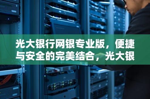 光大银行网银专业版，便捷与安全的完美结合，光大银行网银专业版怎么开通