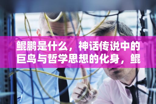 鲲鹏是什么，神话传说中的巨鸟与哲学思想的化身，鲲鹏是什么动物?