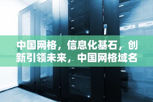 中国网格，信息化基石，创新引领未来，中国网格域名