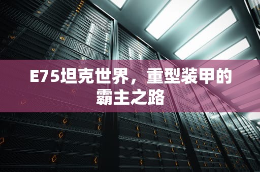E75坦克世界，重型装甲的霸主之路