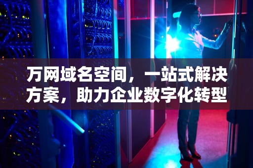 万网域名空间，一站式解决方案，助力企业数字化转型，万网域名和空间申请过程