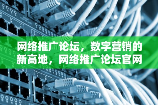 网络推广论坛，数字营销的新高地，网络推广论坛官网
