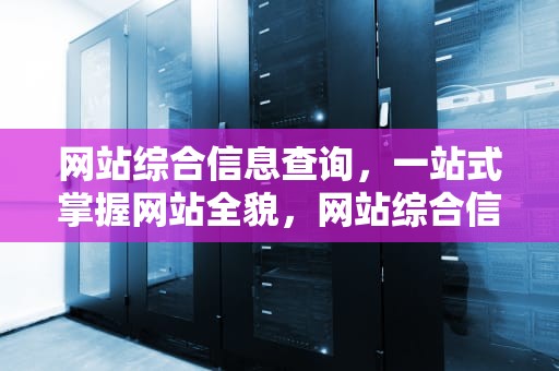 网站综合信息查询，一站式掌握网站全貌，网站综合信息查询官网