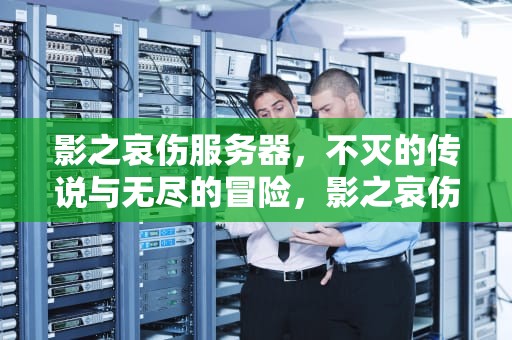 影之哀伤服务器，不灭的传说与无尽的冒险，影之哀伤服务器人口普查